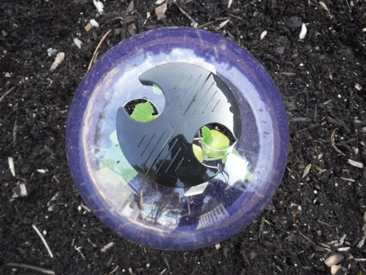 Small Reusable Garden Cloche