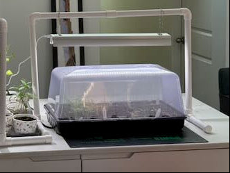 Seed Tray Replacement Inserts & Accessories