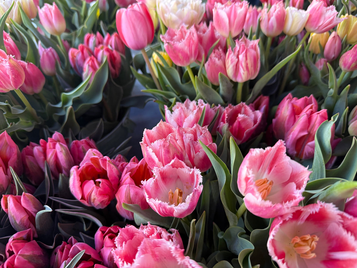 Spring Flowers You Can Grow, Cut, and Actually Eat