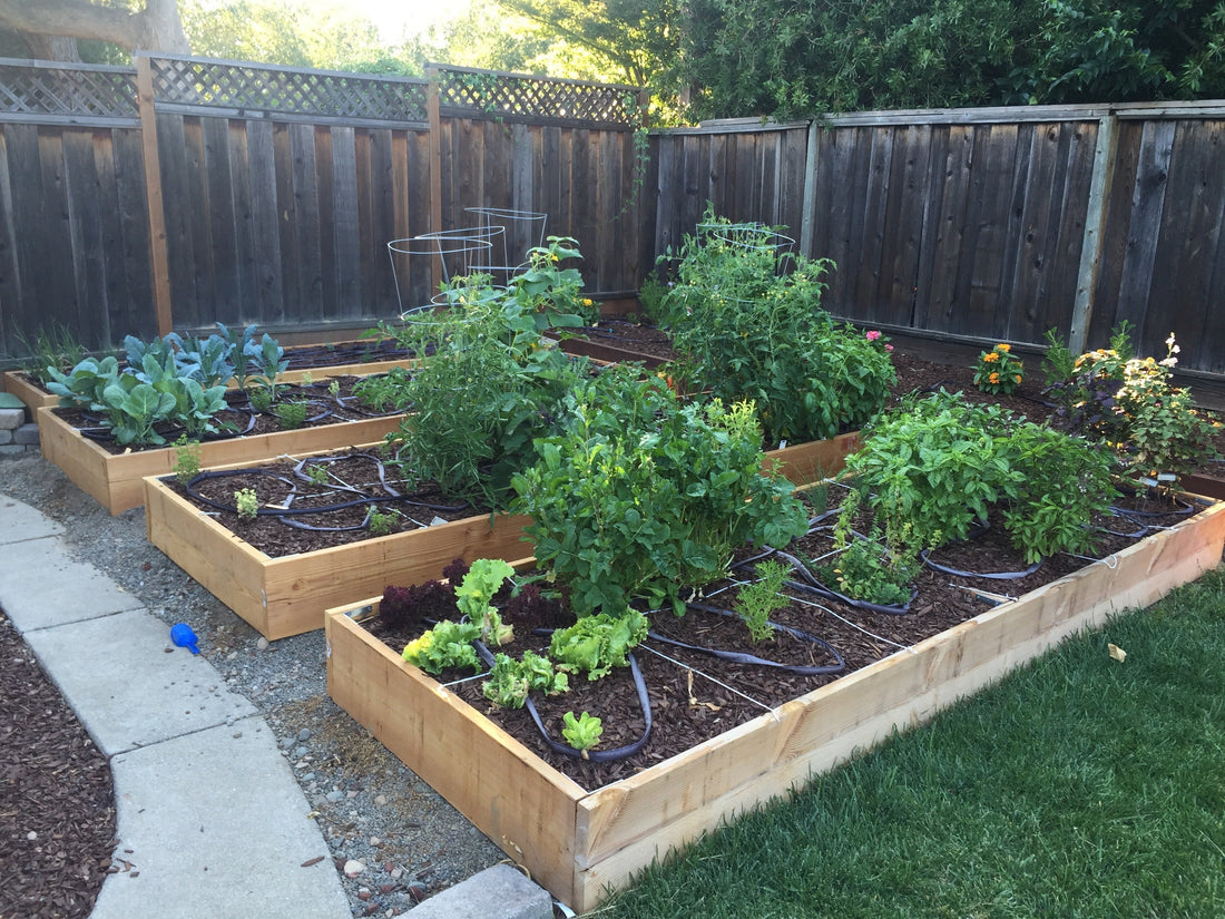 Why we like gardening with kids