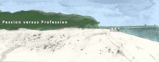Passion vs. Profession & Finding Meaning