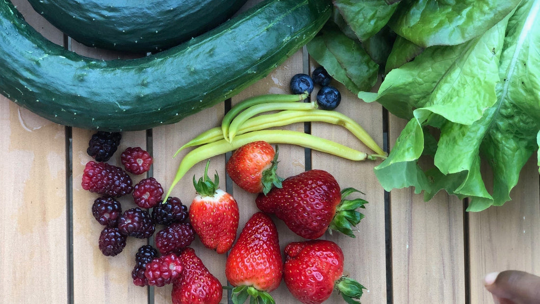 The Strawberry Patch That Grows Itself