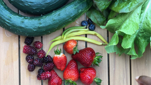The Strawberry Patch That Grows Itself