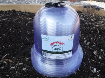 Small Reusable Garden Cloche