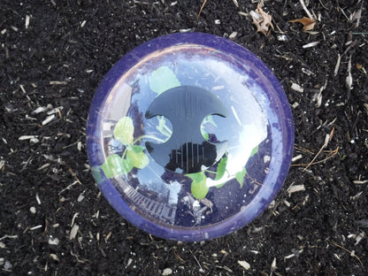 Medium Reusable Garden Cloches