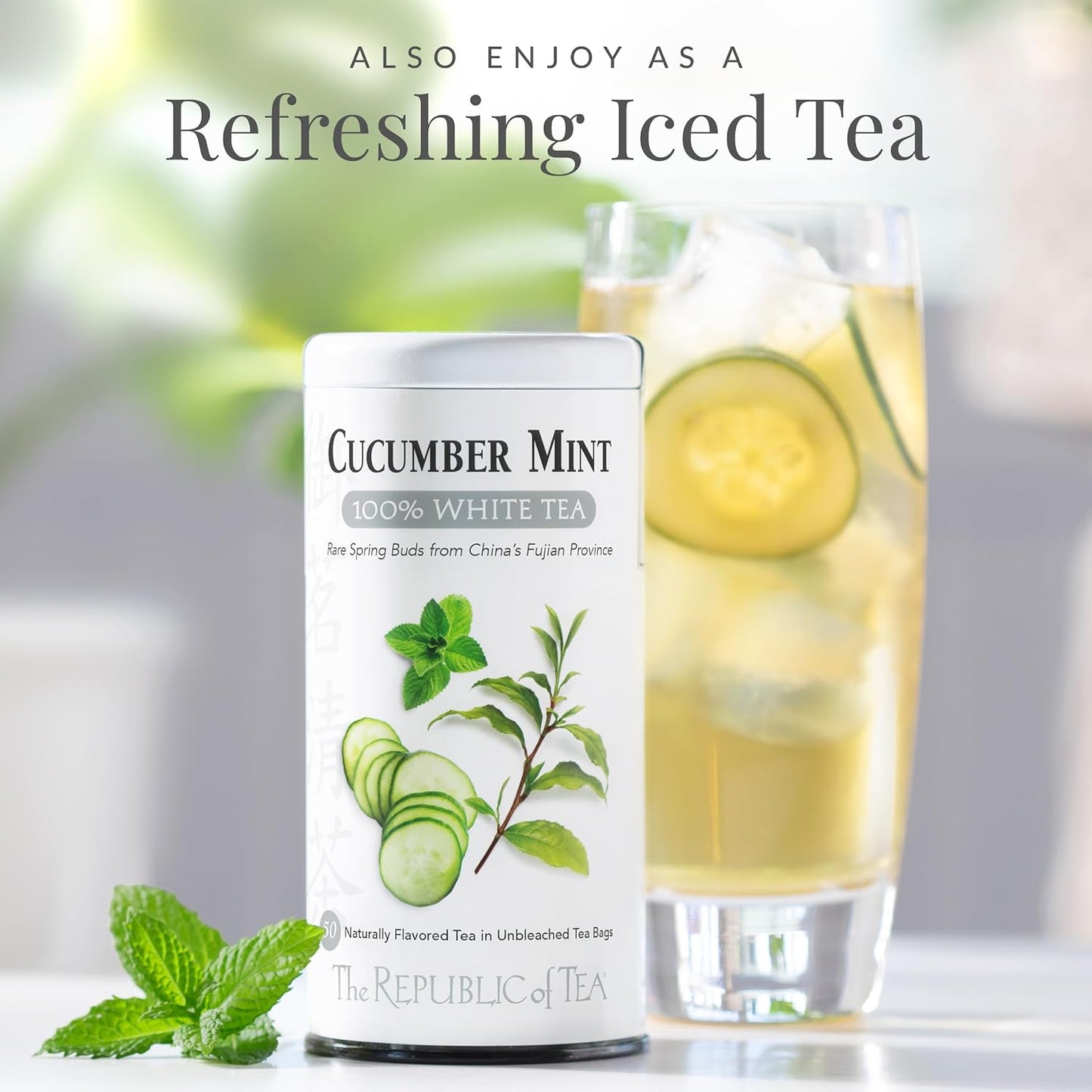 Cucumber Mint 100% White Tea Bags | The Republic of Tea