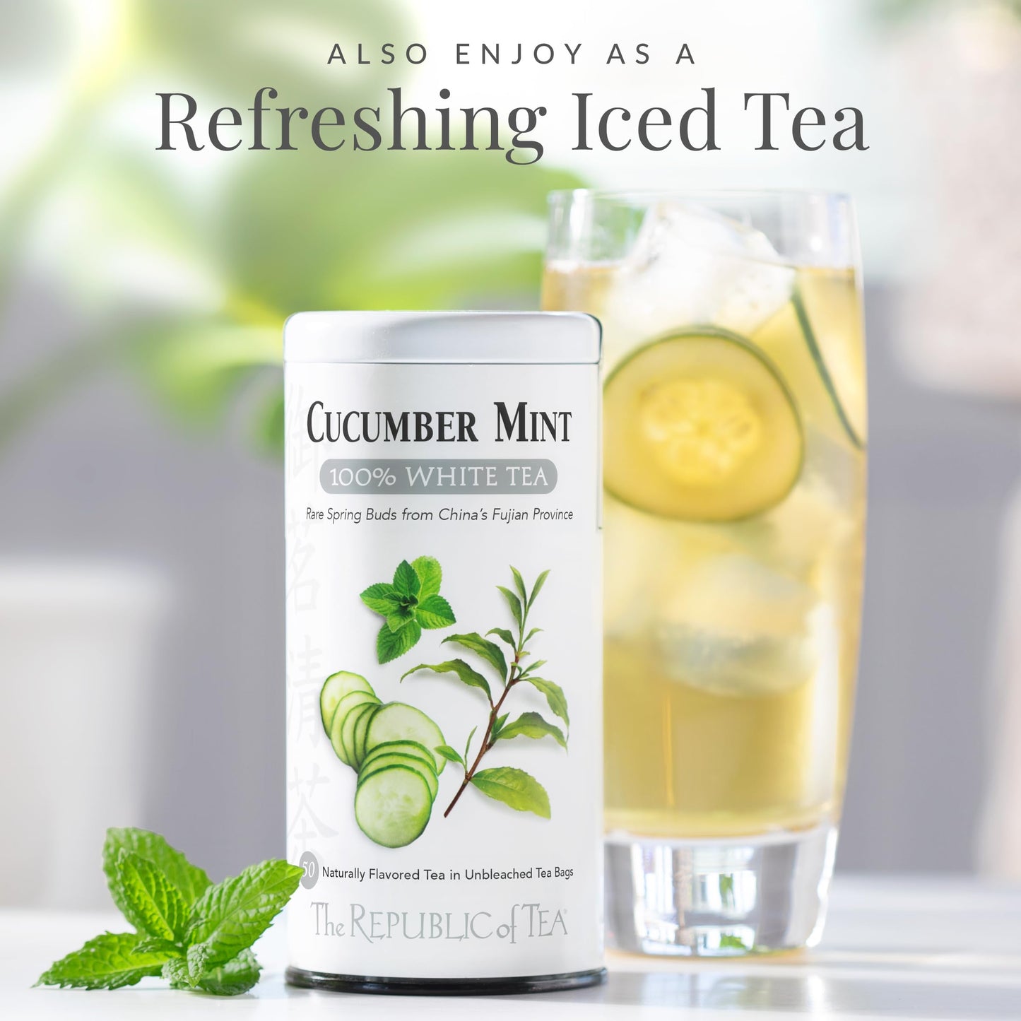 Cucumber Mint 100% White Tea Bags | The Republic of Tea