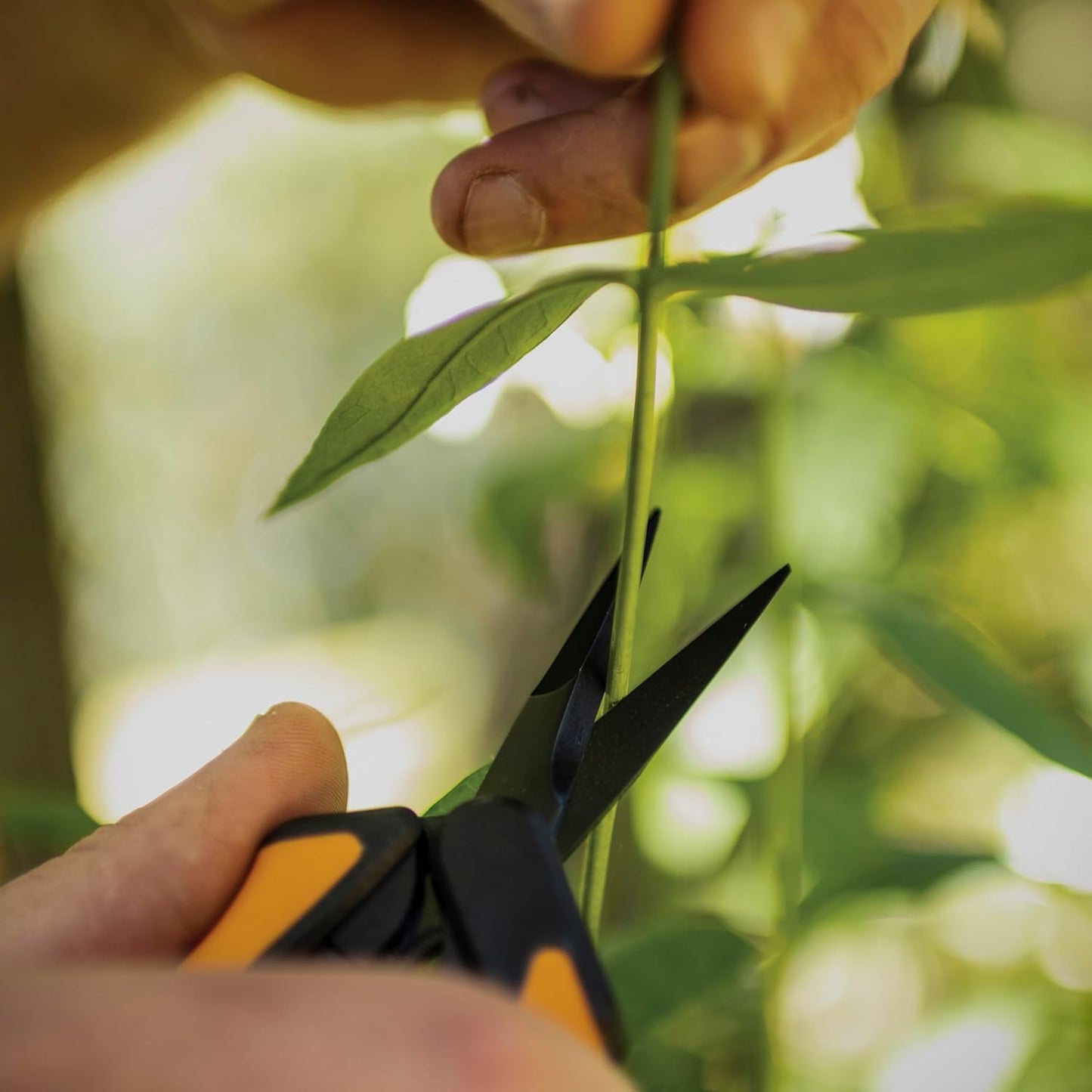 6" Non-Stick Pruning Snips, Scissors, and Tool Gift Set