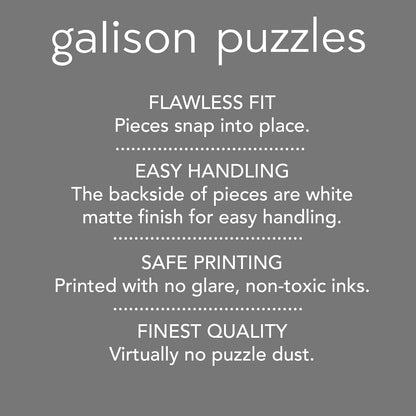 Galison Ever Upward | 1000 Piece Puzzle Fun and Challenging Activity with Bright and Bold Artwork of Vintage Style Flower Seed Packets for Adults and Families