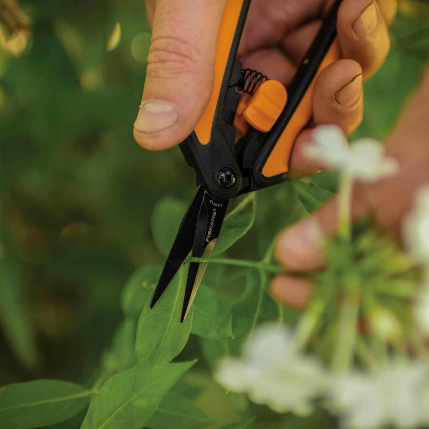 6" Non-Stick Pruning Snips, Scissors, and Tool Gift Set