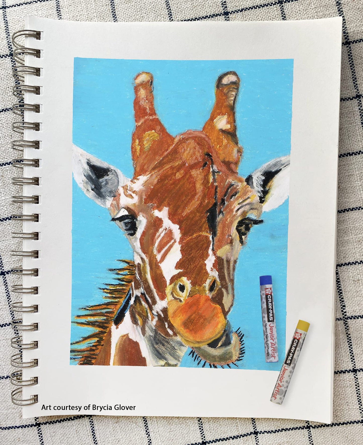 SAKURA Cray-Pas Junior Artist Oil Pastels