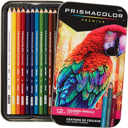Strathmore 300 Series Bristol Paper Pad with Prismacolor Premier 12 Count Colored Pencils | Art Bundle