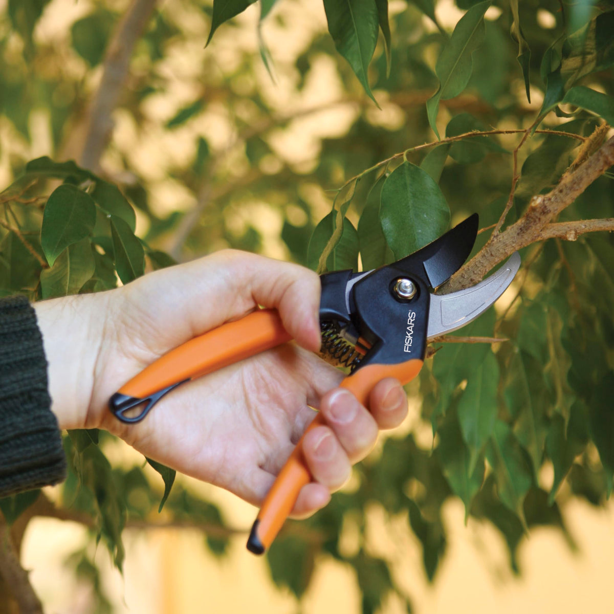 Fiskars Forged Steel Bypass Pruning Shears (4 Options)