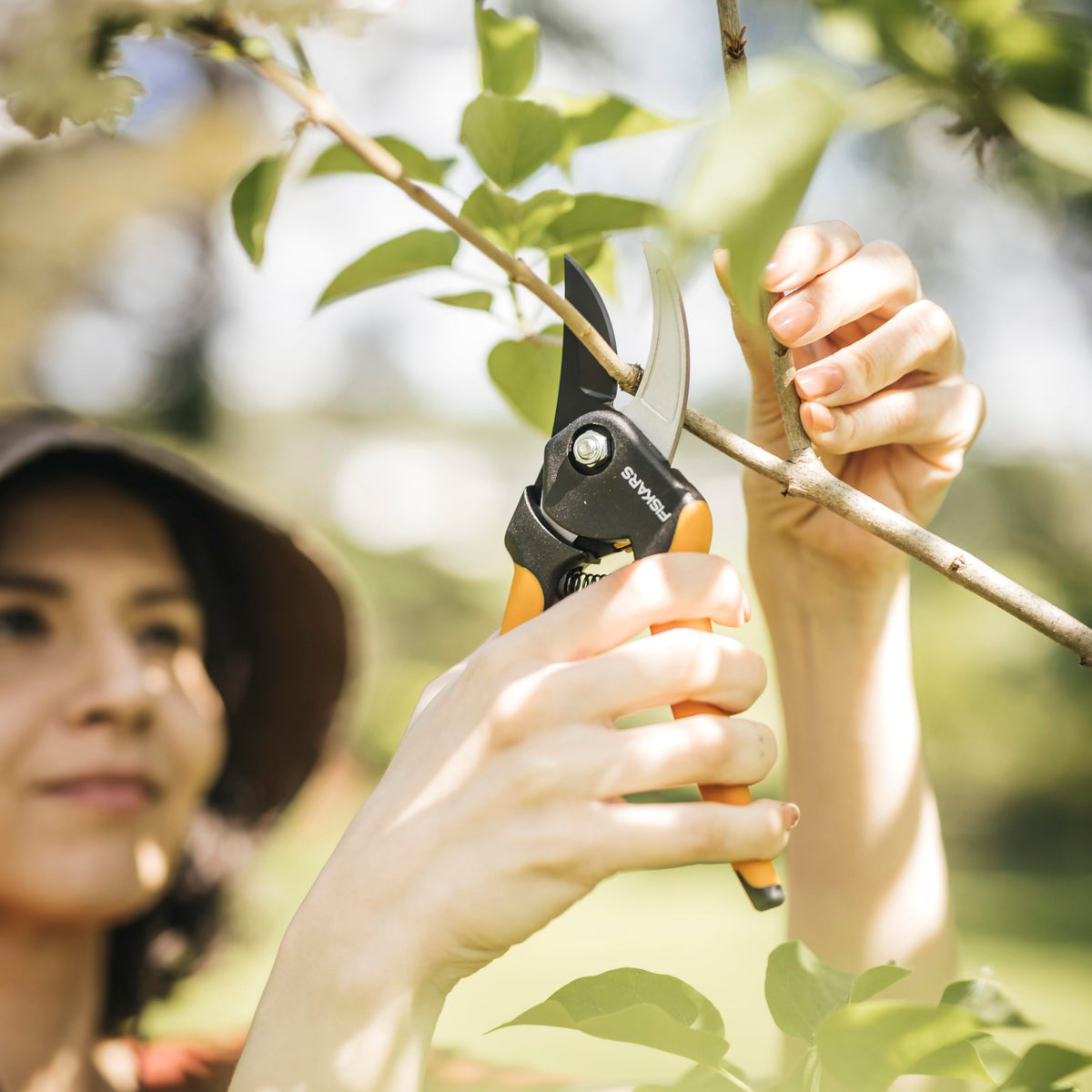 Fiskars Forged Steel Bypass Pruning Shears (4 Options)