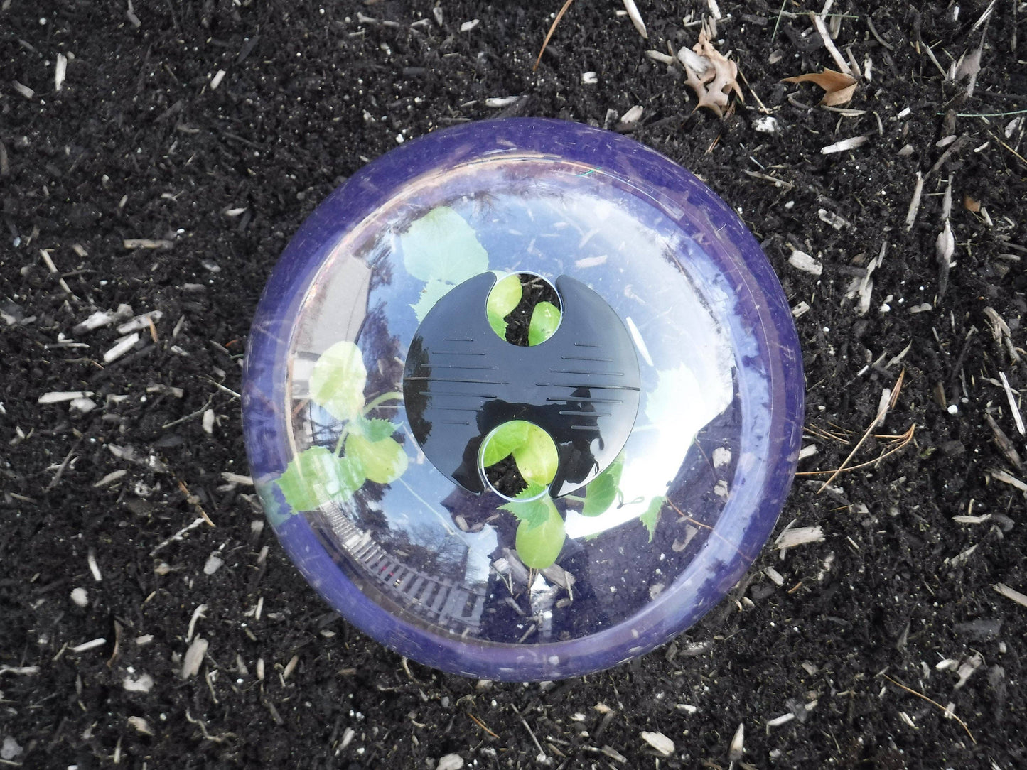 Medium Reusable Garden Cloches