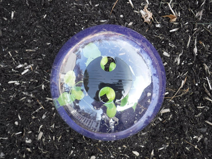 Medium Reusable Garden Cloches