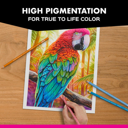 Large Prismacolor Premier Colored Pencils, Soft Core, Assorted Colors