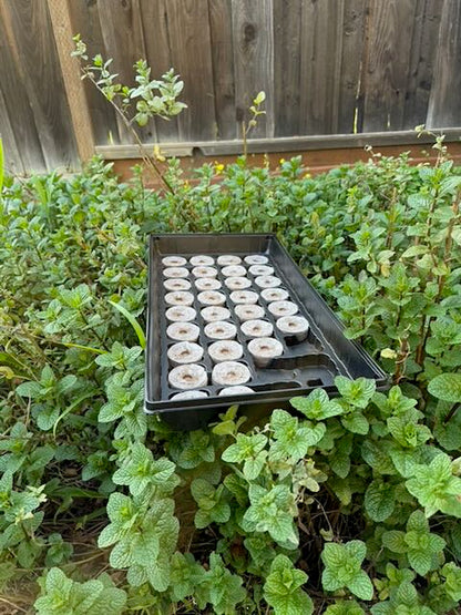 Seed Tray Replacement Inserts & Accessories