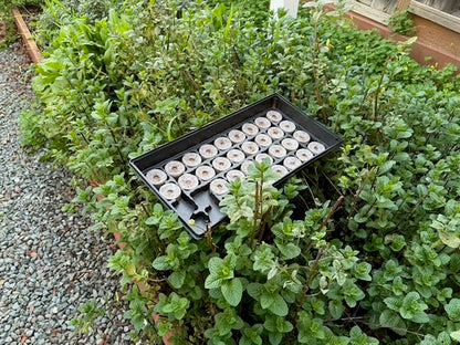 Seed Tray Replacement Inserts & Accessories