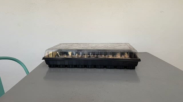 Seed Tray Replacement Inserts & Accessories