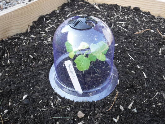 Small Reusable Garden Cloche